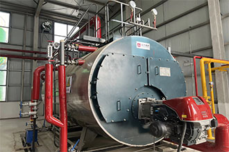 河南南陽化工廠WNS4-1.25-Q燃氣蒸汽鍋爐